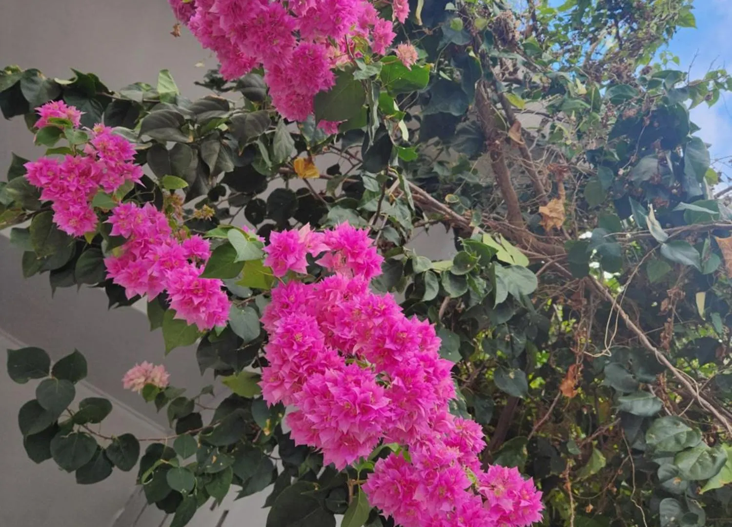 Vila Kaz Memel Beau Vallon