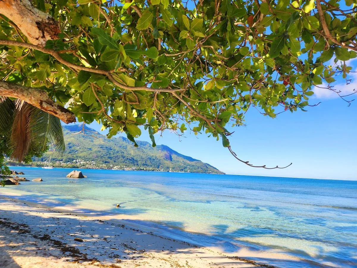 Kaz Memel Villa Beau Vallon