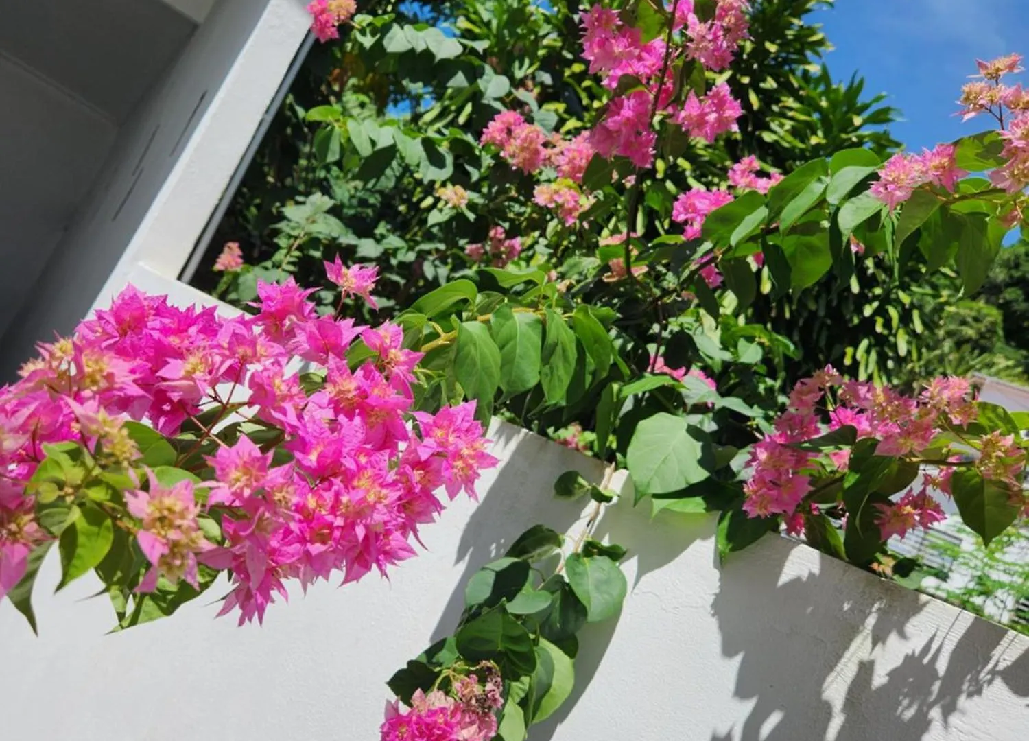 Kaz Memel Villa Beau Vallon