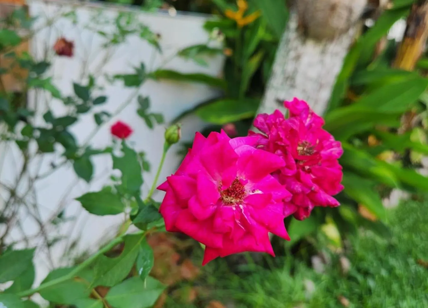 Villa Kaz Memel Beau Vallon  Beau Vallon (Mahe)