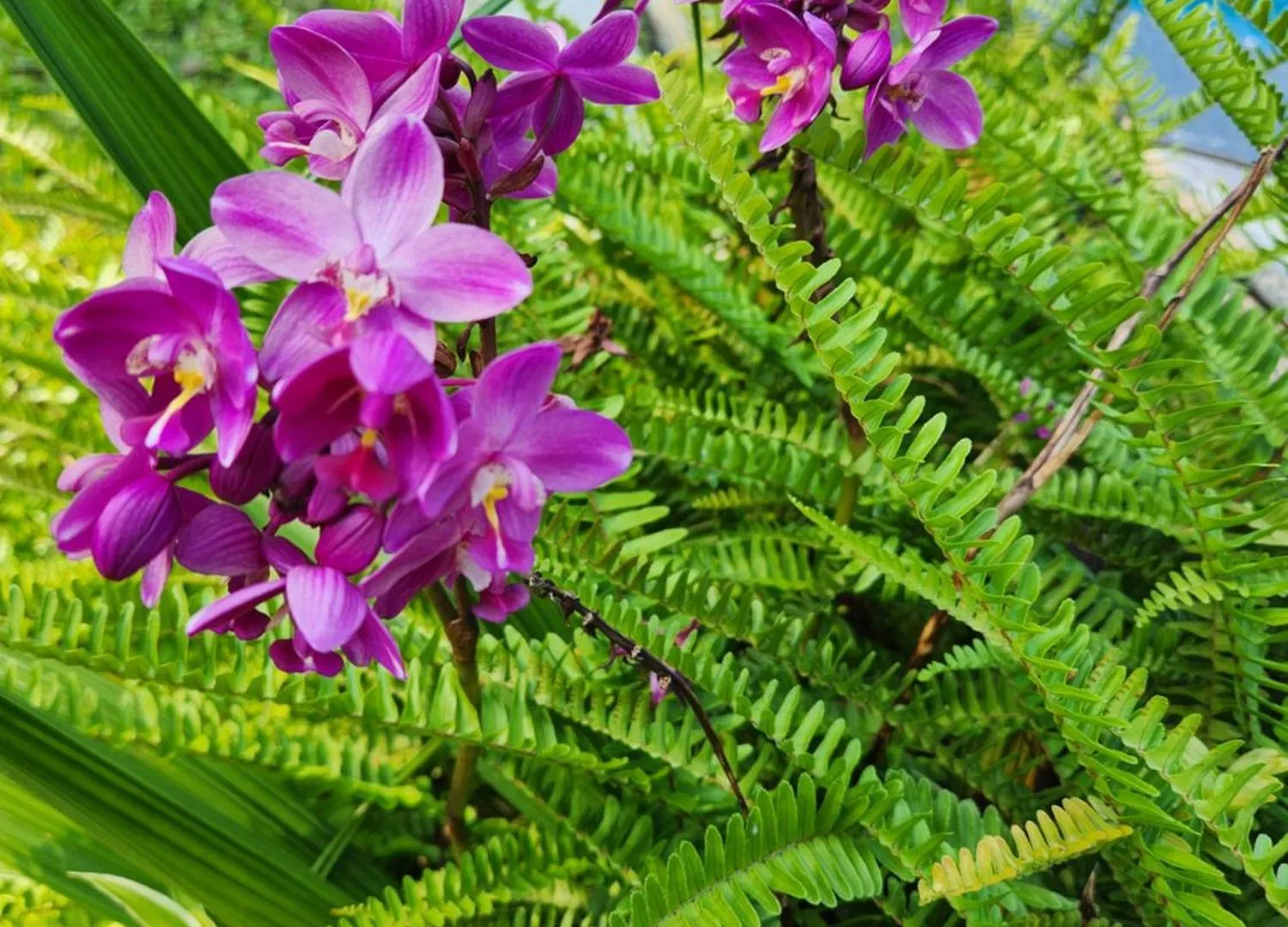 Villa Kaz Memel Beau Vallon