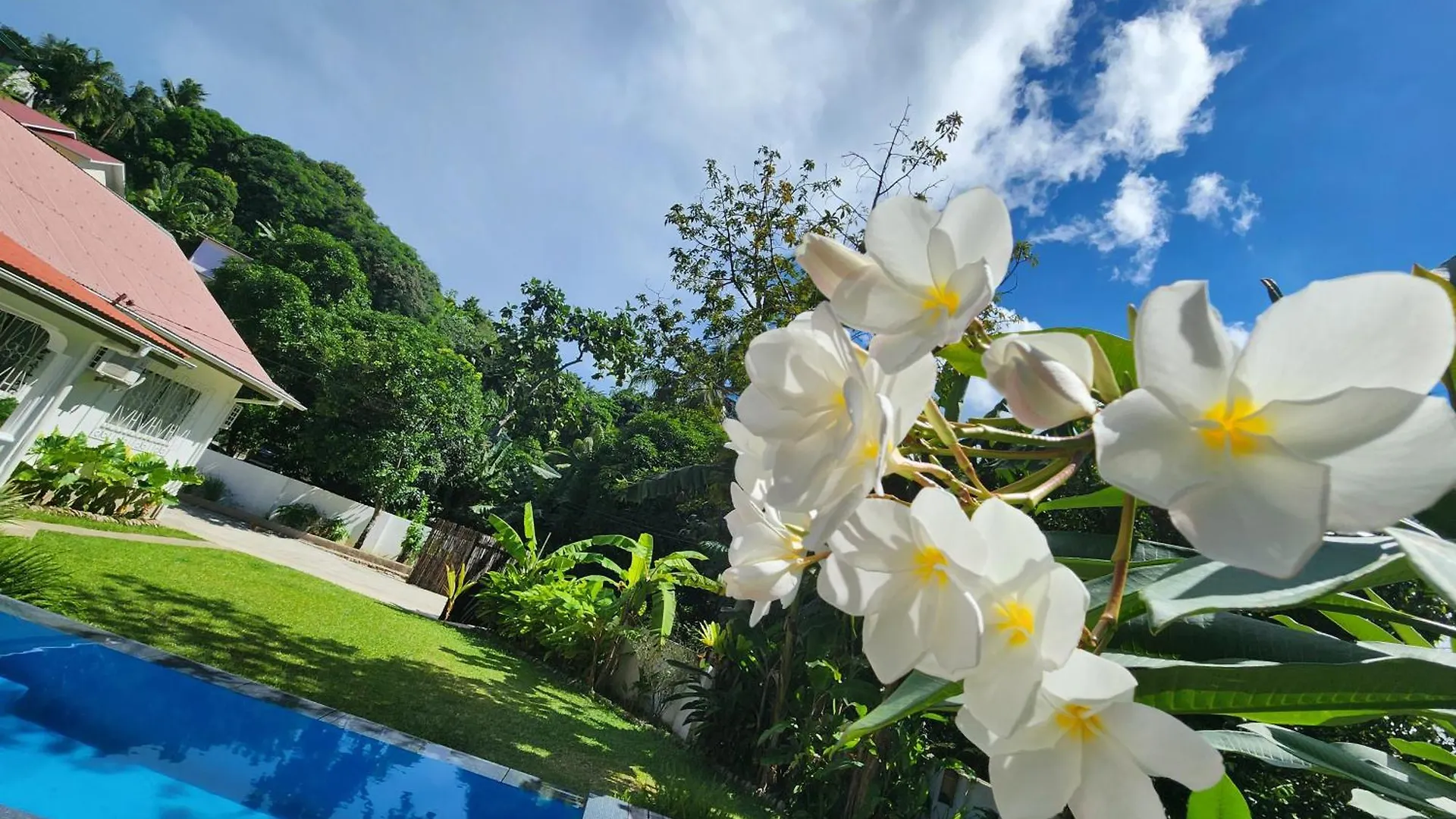 Villa Kaz Memel Beau Vallon  0*, Beau Vallon (Mahe) Seychelles